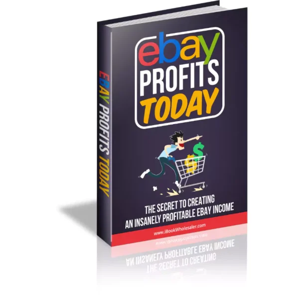 Ebay Profits