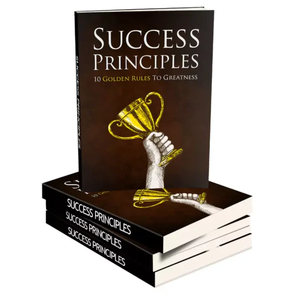 Success Principles