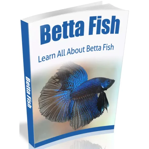 Betta Fish