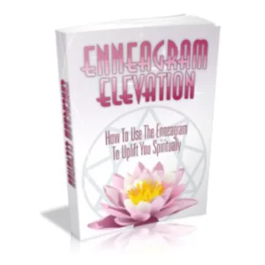 Enneagram Elevation