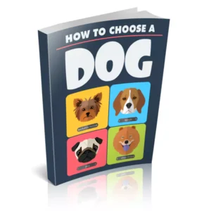 How To Choose A Dog