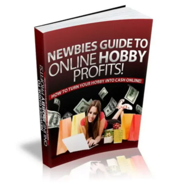 Newbies Guide To Online Hobby Profits