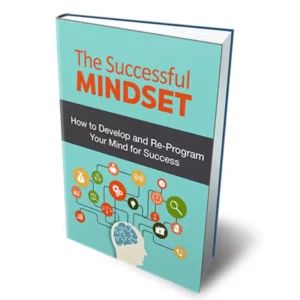 The Successful Mindset