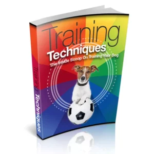 Training Techniques