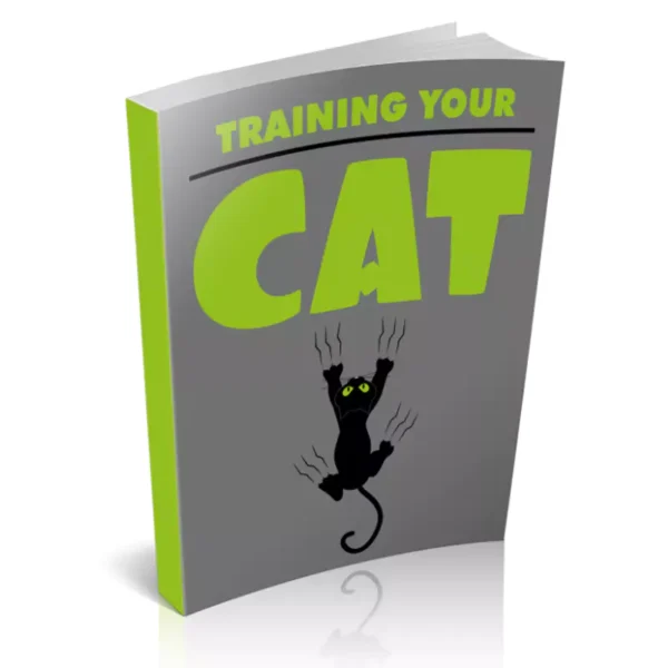 Training Your Cat