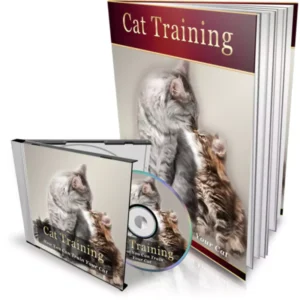 cat-training