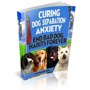 curing-dog-separation-anxiety